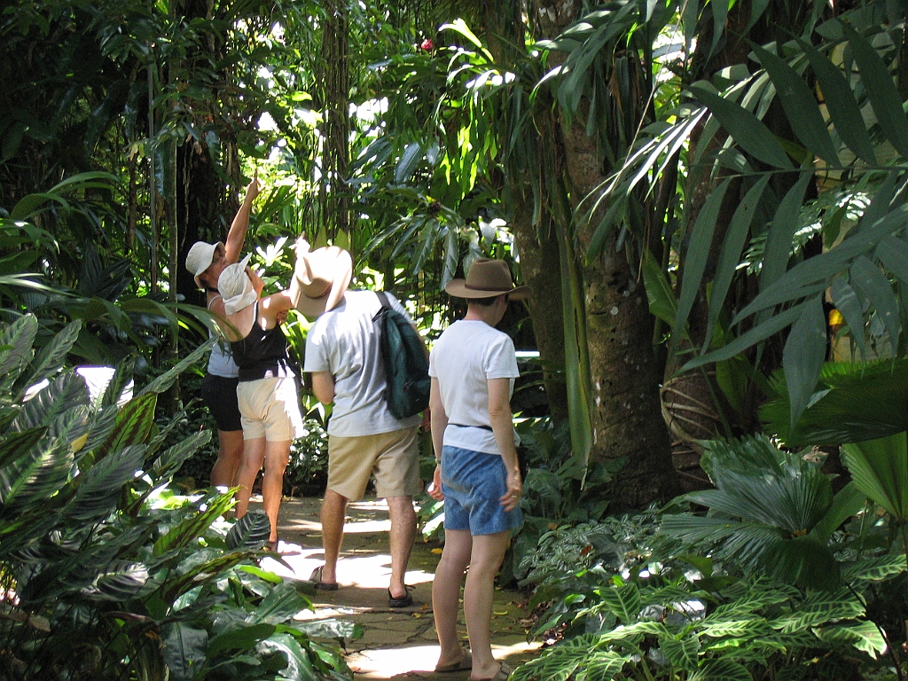 CairnsTC055 Jardin Botanique 055.jpg